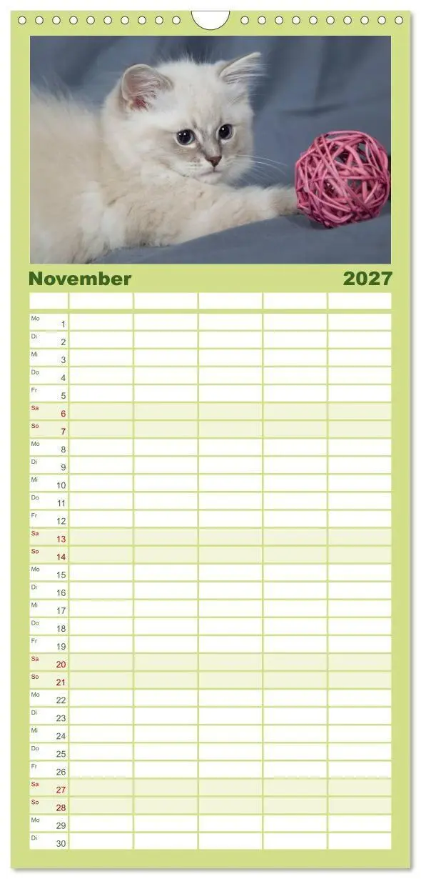 Bild: 9783594332634 | Familienplaner 2027 - Ragdoll Kitten mit 5 Spalten (Wandkalender,...