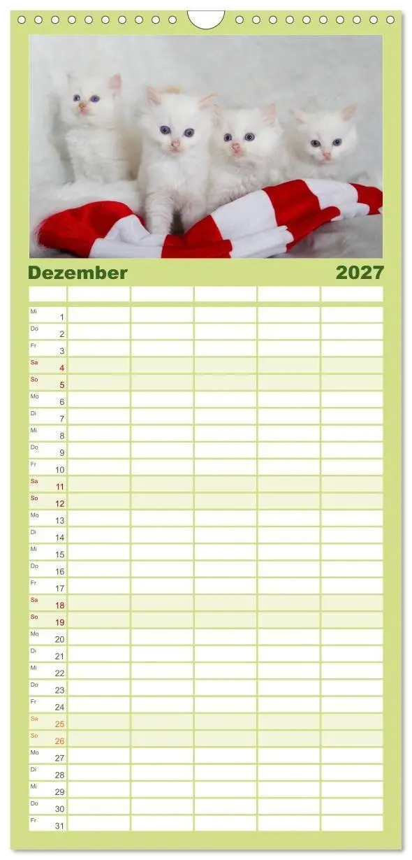Bild: 9783594332634 | Familienplaner 2027 - Ragdoll Kitten mit 5 Spalten (Wandkalender,...