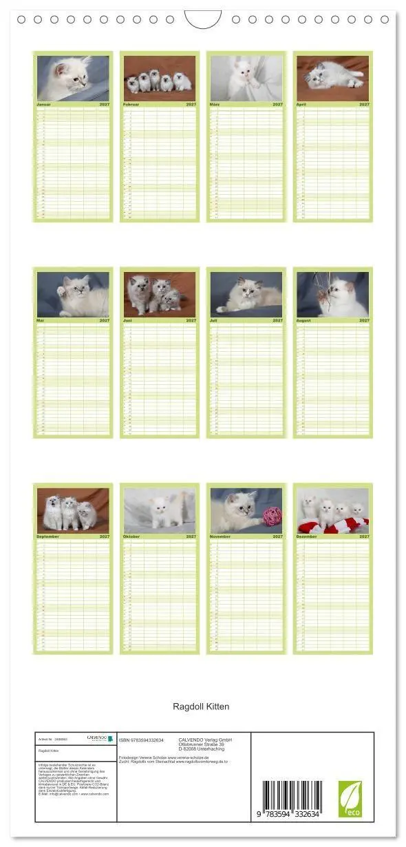 Bild: 9783594332634 | Familienplaner 2027 - Ragdoll Kitten mit 5 Spalten (Wandkalender,...