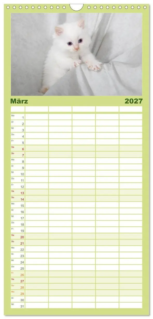 Bild: 9783594332634 | Familienplaner 2027 - Ragdoll Kitten mit 5 Spalten (Wandkalender,...