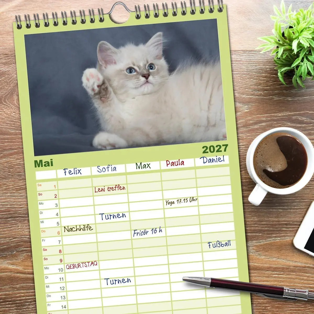 Bild: 9783594332634 | Familienplaner 2027 - Ragdoll Kitten mit 5 Spalten (Wandkalender,...
