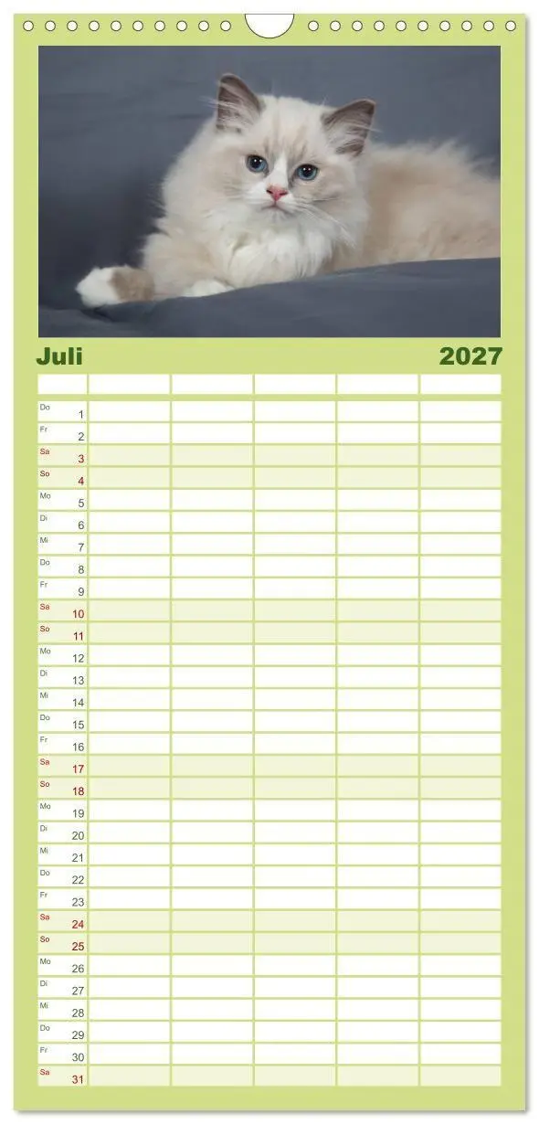 Bild: 9783594332634 | Familienplaner 2027 - Ragdoll Kitten mit 5 Spalten (Wandkalender,...