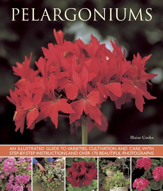 Cover: 9781780192734 | Pelargoniums | Blaise Cooke | Taschenbuch | Kartoniert / Broschiert
