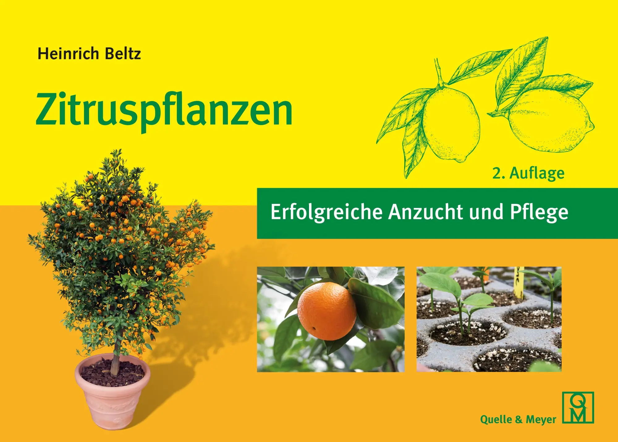 Cover: 9783494022734 | Zitruspflanzen | Erfolgreiche Anzucht und Pflege | Heinrich Beltz