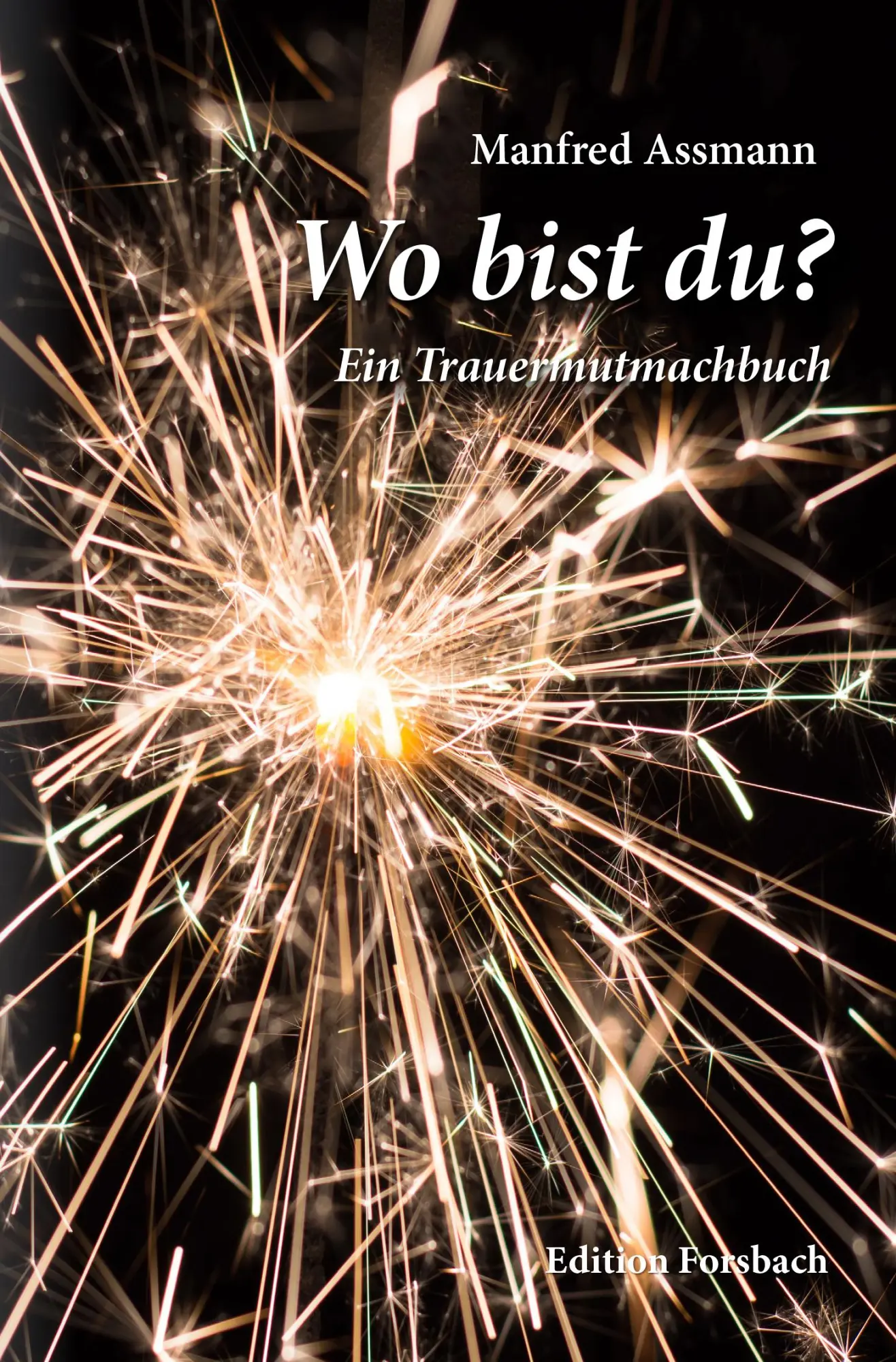 Cover: 9783959042734 | Wo bist du? | Ein Trauermutmachbuch | Manfred Assmann | Taschenbuch