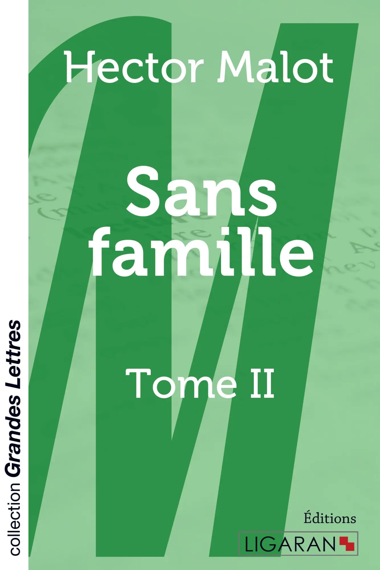 Cover: 9782335022834 | Sans famille - Tome 2 (grands caractères) | Hector Malot | Taschenbuch