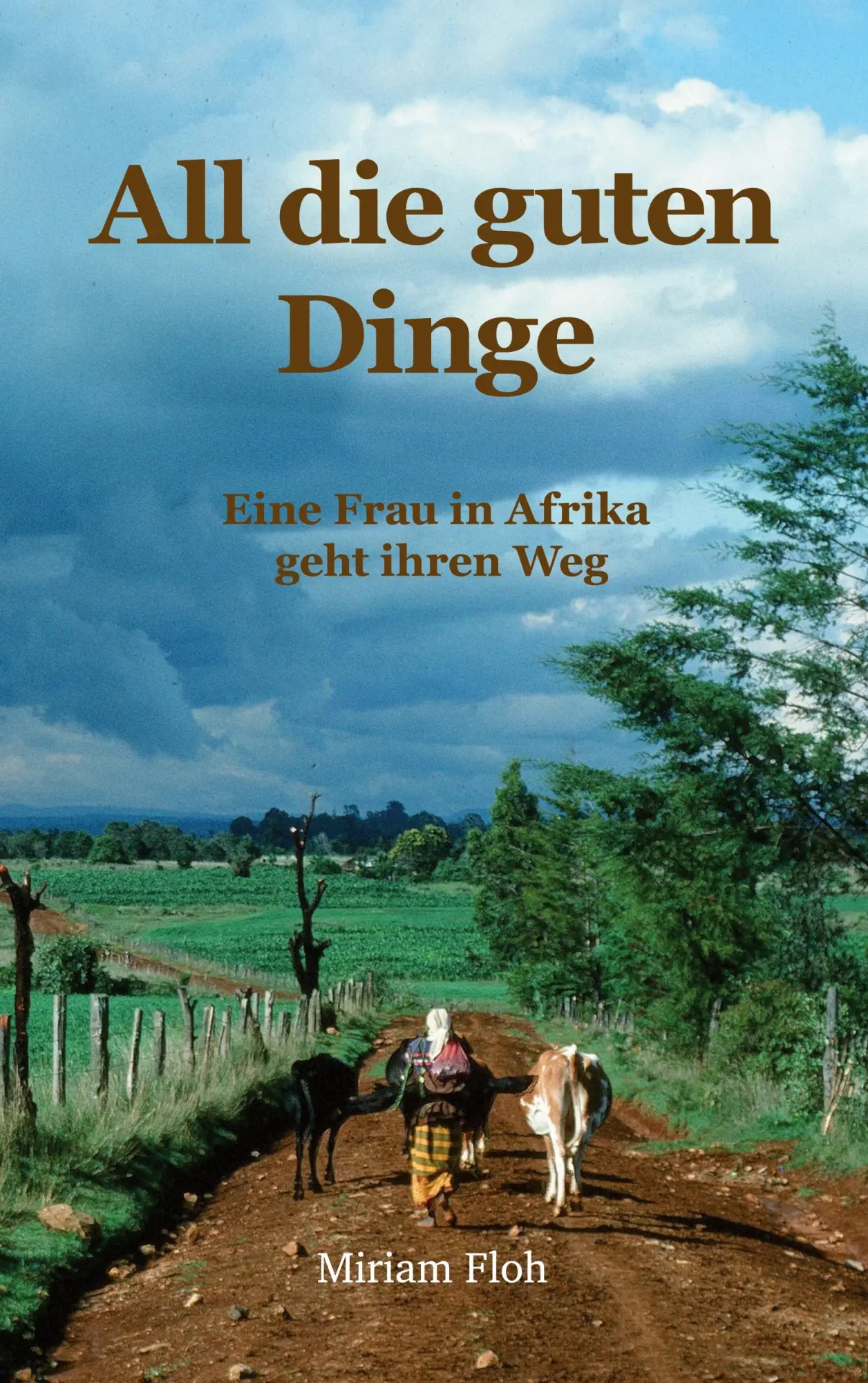 Cover: 9783696382834 | All die guten Dinge | Eine Frau in Afrika geht ihren Weg | Miriam Floh