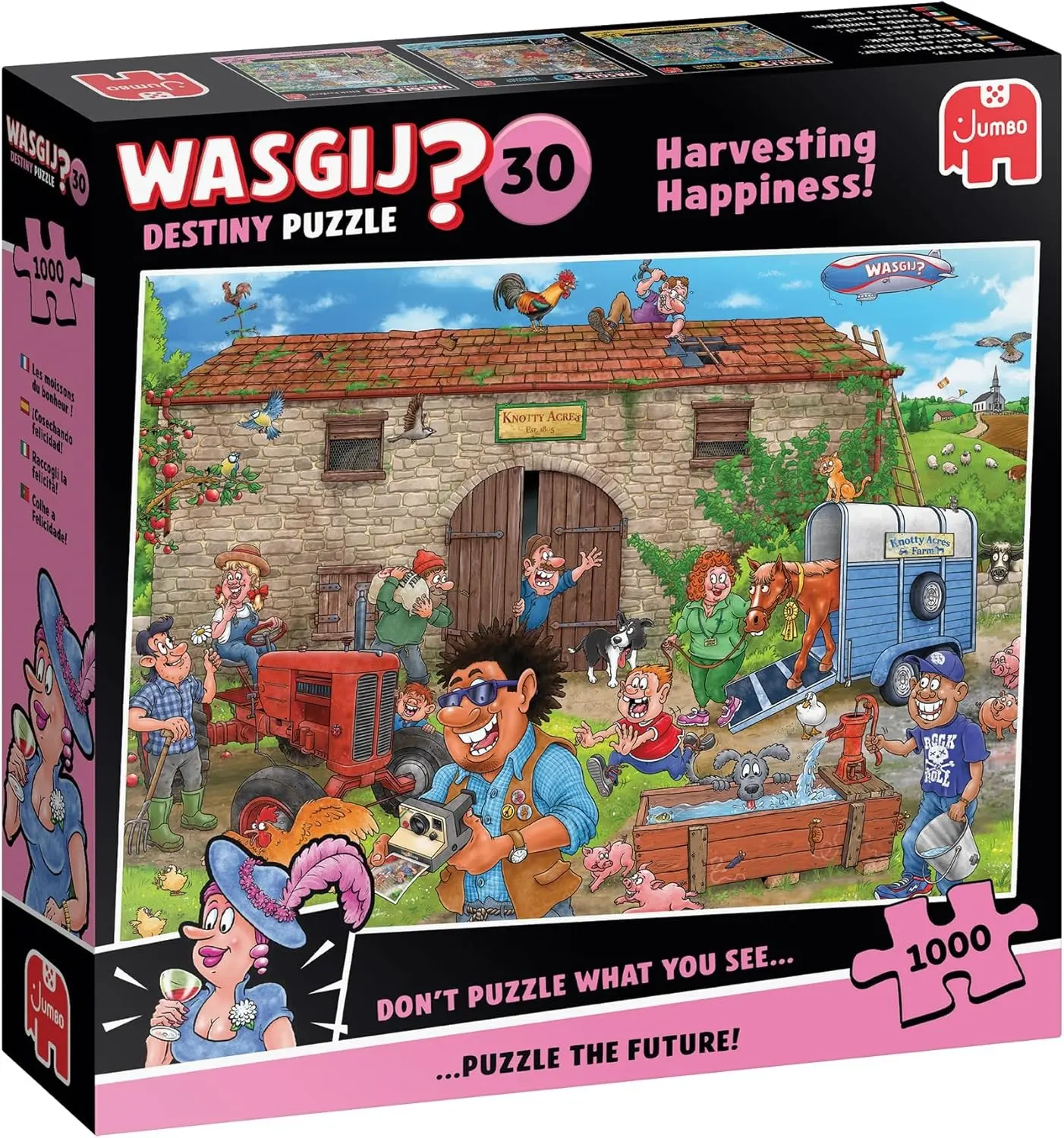 Cover: 8721017602934 | Wasgij Destiny 30 - Puzzle 1000 Teile | Spiel | Deutsch | 2025