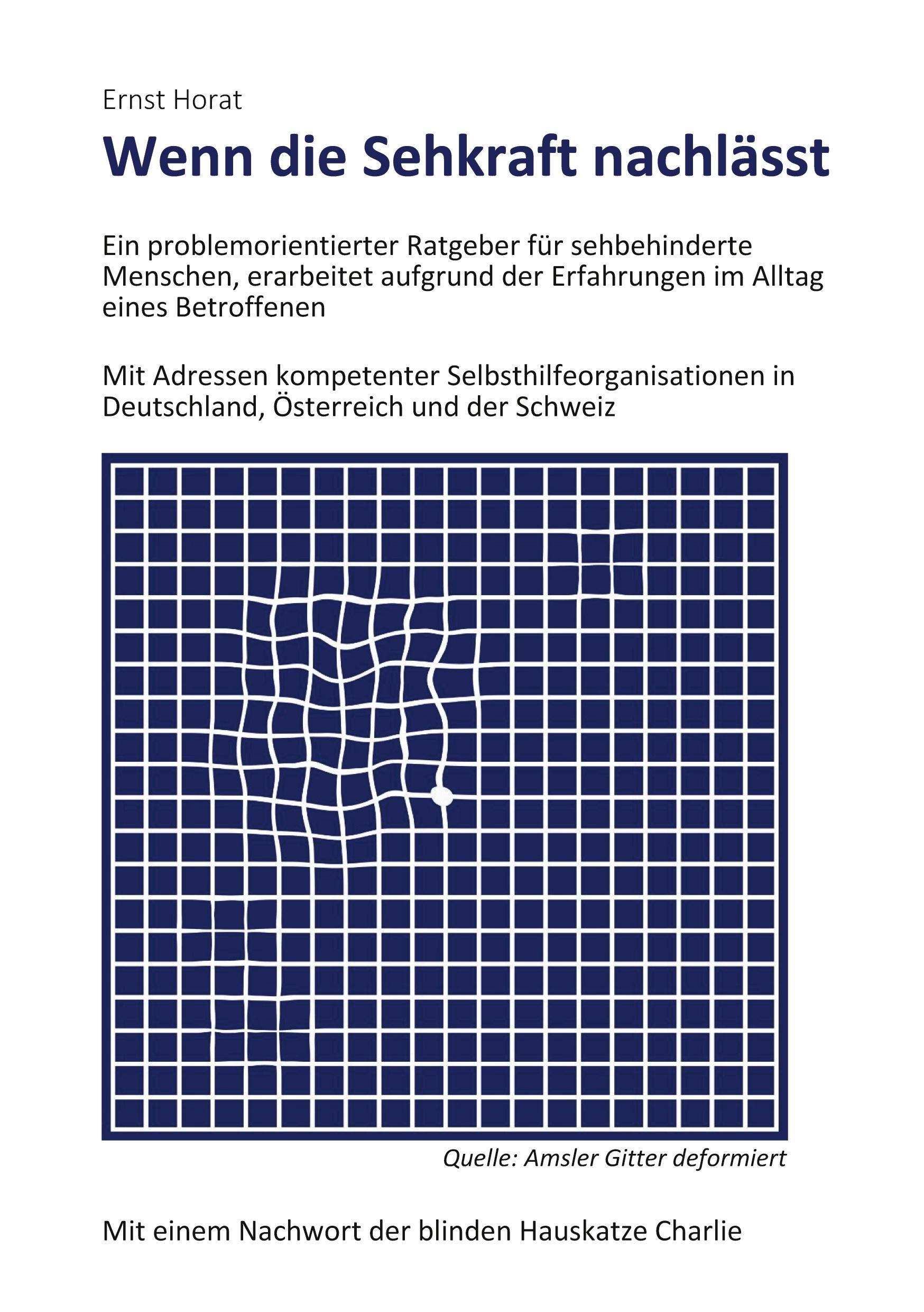 Cover: 9783347102934 | Wenn die Sehkraft nachlässt | Ernst Horat | Taschenbuch | Paperback