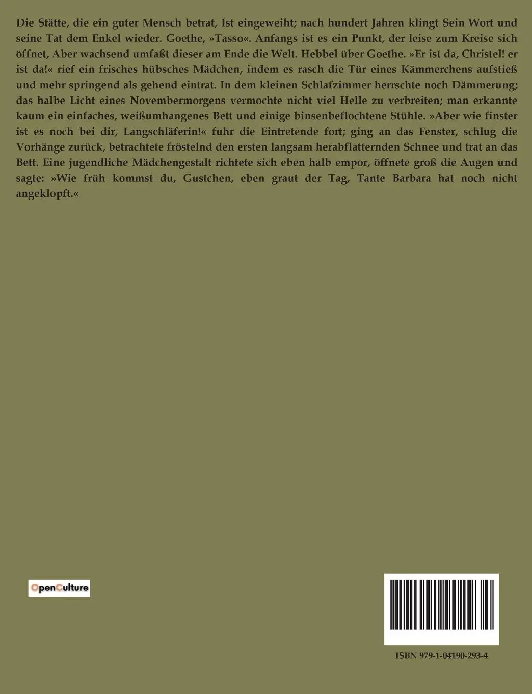 Rückseite: 9791041902934 | Brausejahre | Auguste von der Decken | Taschenbuch | 290 S. | Deutsch