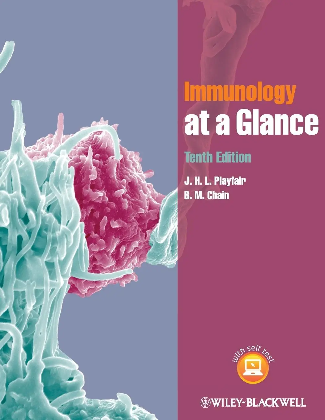 Cover: 9780470673034 | Immunology at a Glance | B. M. Chain (u. a.) | Taschenbuch | 120 S.