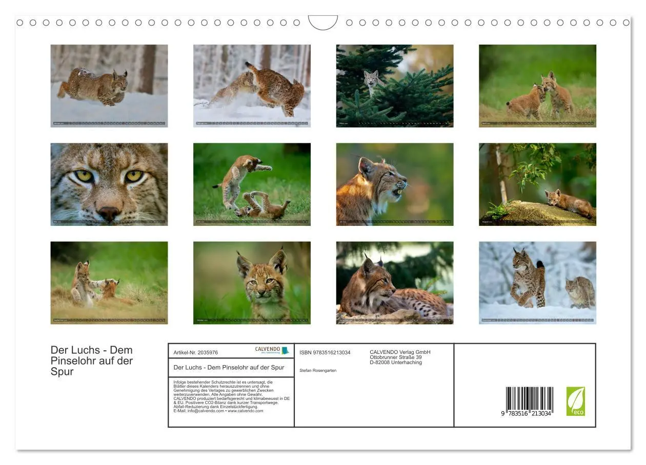 Bild: 9783516213034 | Der Luchs - Dem Pinselohr auf der Spur (Wandkalender 2026 DIN A3...