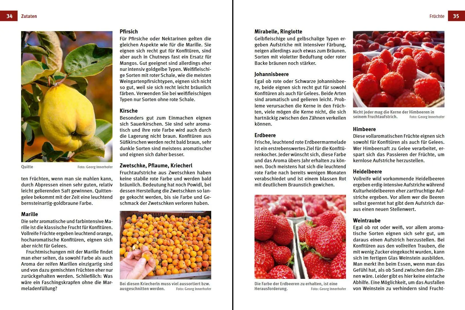 Bild: 9783702023034 | Marmelade, Konfitüre &amp; Gelee | Fruchtige Köstlichkeiten selbstgemacht