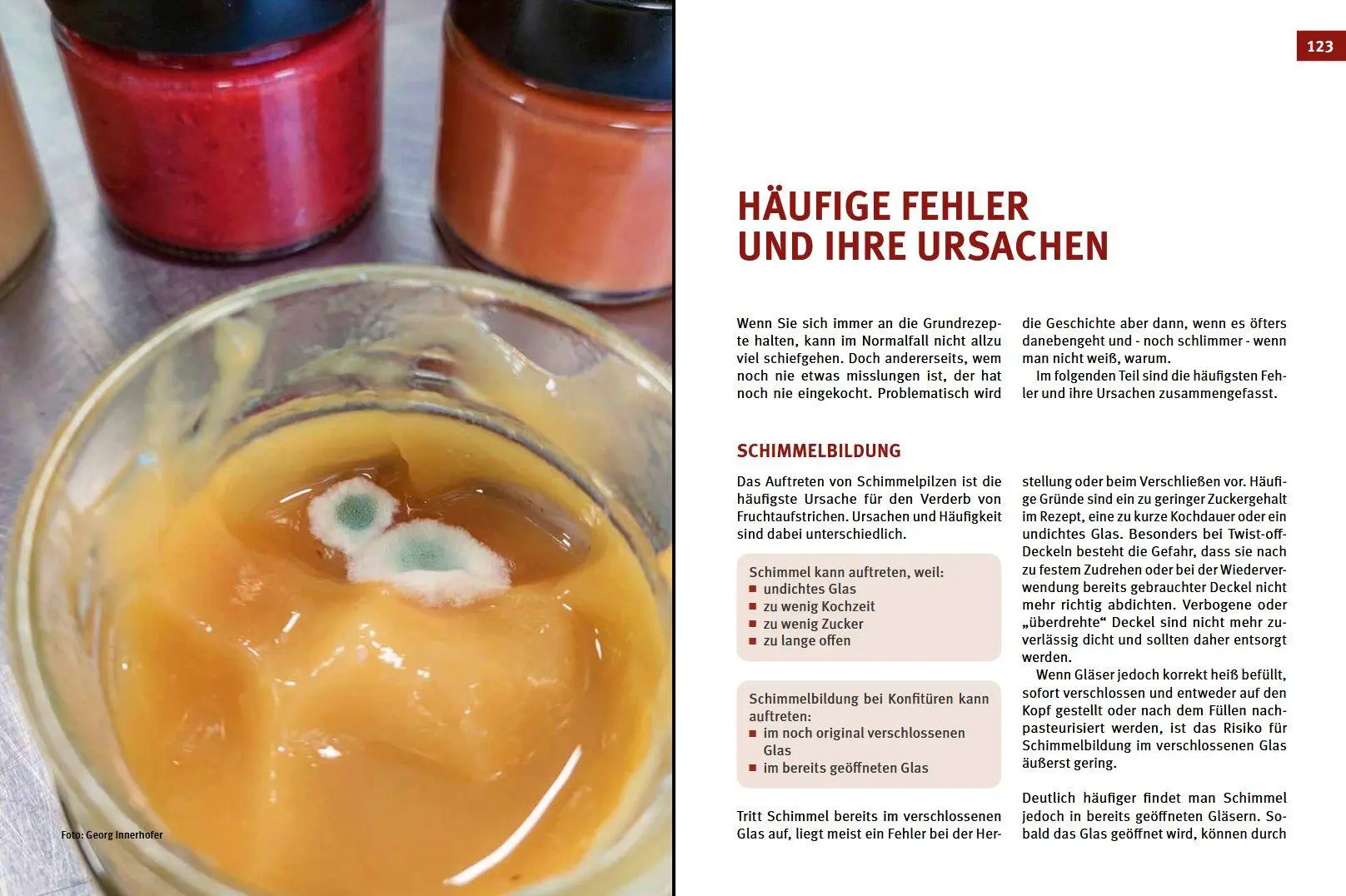 Bild: 9783702023034 | Marmelade, Konfitüre &amp; Gelee | Fruchtige Köstlichkeiten selbstgemacht