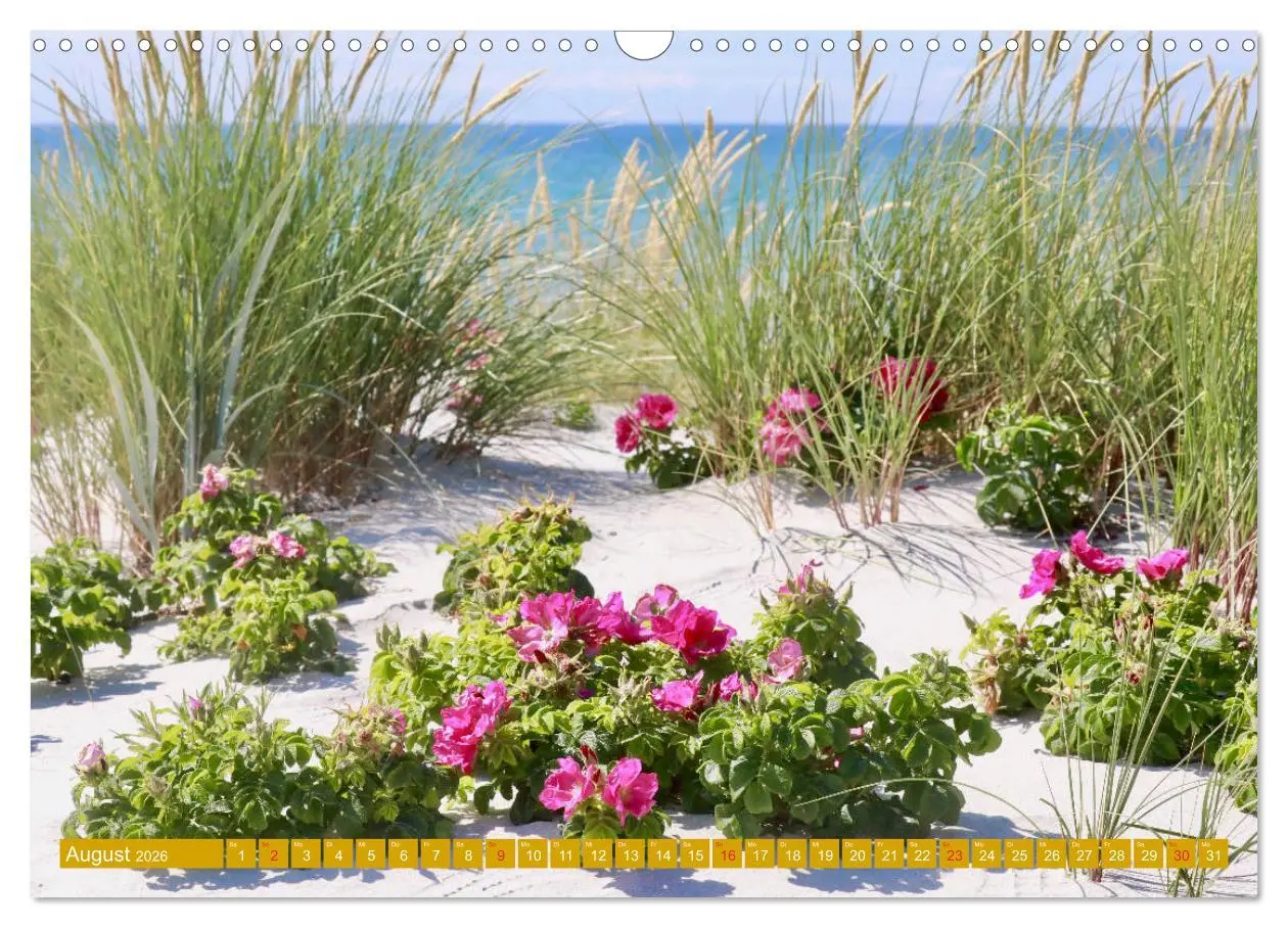Bild: 9783457803134 | Insel Hiddensee - Stimmungen und Sehnsüchte (Wandkalender 2026 DIN...