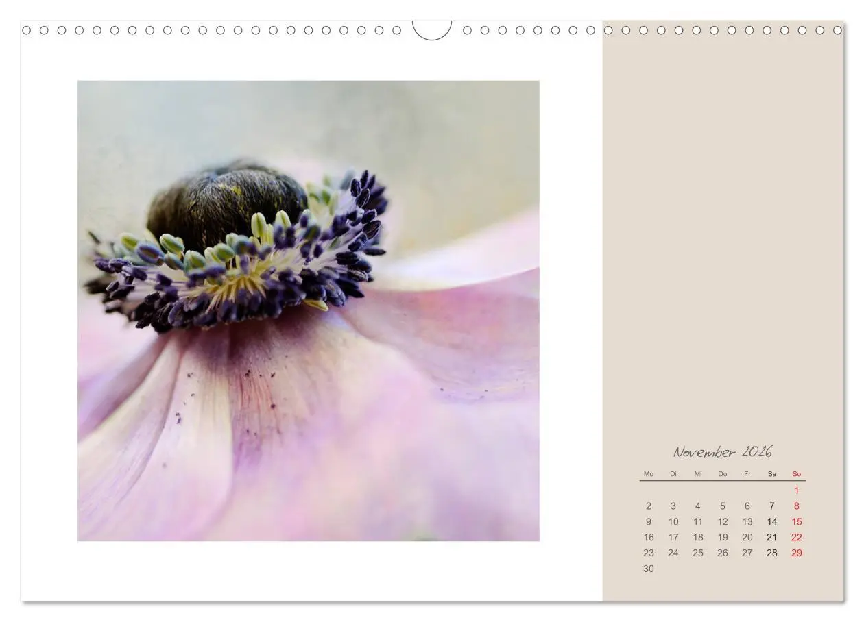 Bild: 9783516203134 | Blütenträume (Wandkalender 2026 DIN A3 quer), CALVENDO Monatskalender