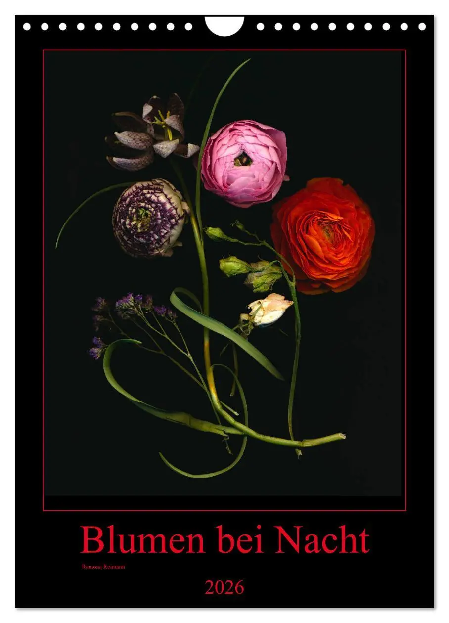 Cover: 9783516373134 | Blumen bei Nacht (Wandkalender 2026 DIN A4 hoch), CALVENDO...