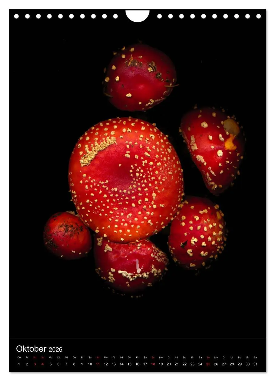 Bild: 9783516373134 | Blumen bei Nacht (Wandkalender 2026 DIN A4 hoch), CALVENDO...