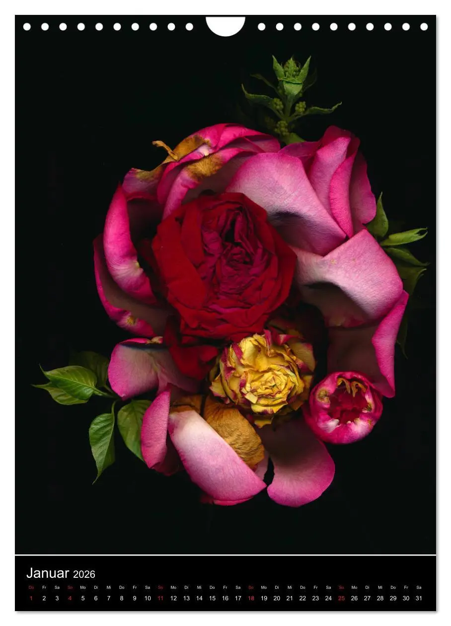 Bild: 9783516373134 | Blumen bei Nacht (Wandkalender 2026 DIN A4 hoch), CALVENDO...