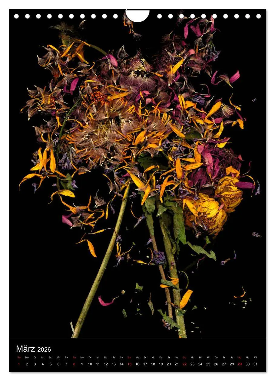 Bild: 9783516373134 | Blumen bei Nacht (Wandkalender 2026 DIN A4 hoch), CALVENDO...