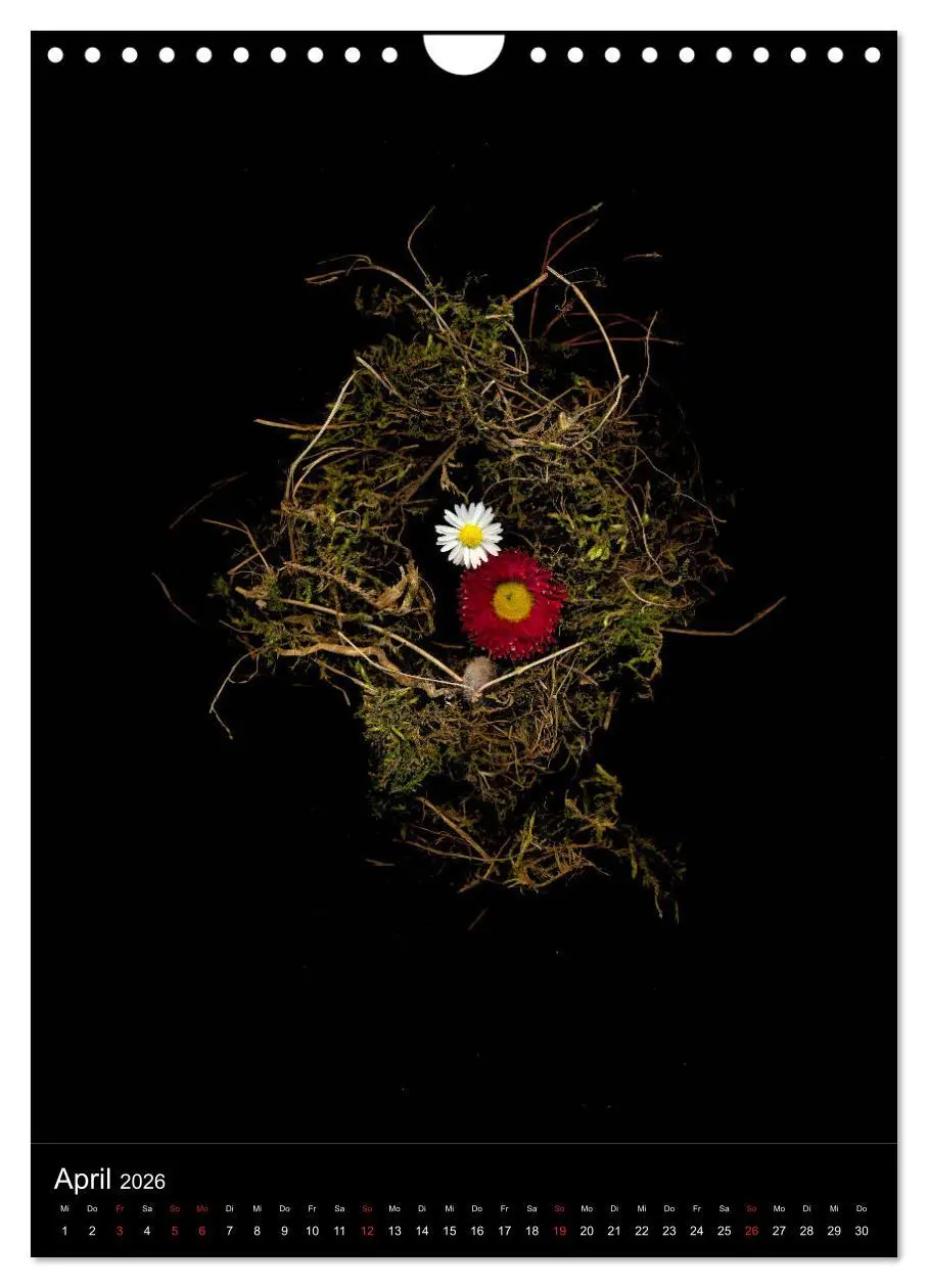 Bild: 9783516373134 | Blumen bei Nacht (Wandkalender 2026 DIN A4 hoch), CALVENDO...
