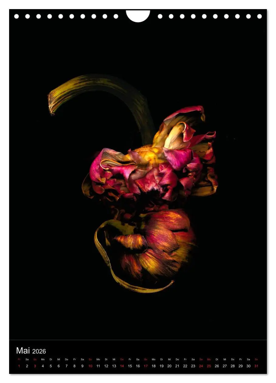 Bild: 9783516373134 | Blumen bei Nacht (Wandkalender 2026 DIN A4 hoch), CALVENDO...