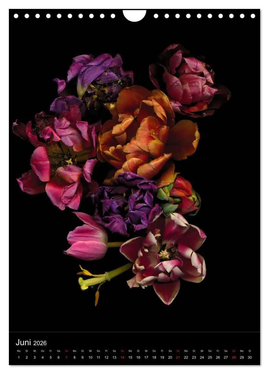 Bild: 9783516373134 | Blumen bei Nacht (Wandkalender 2026 DIN A4 hoch), CALVENDO...
