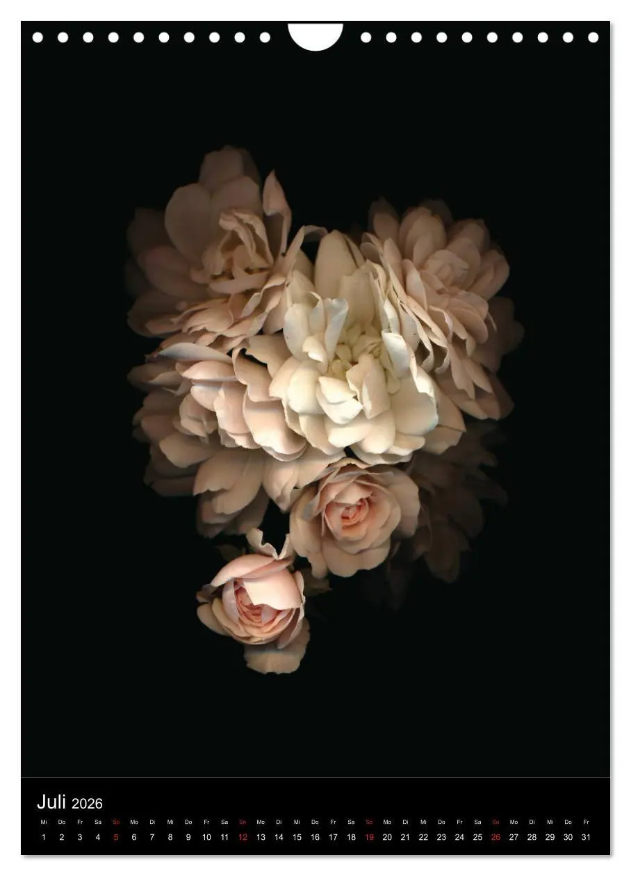 Bild: 9783516373134 | Blumen bei Nacht (Wandkalender 2026 DIN A4 hoch), CALVENDO...