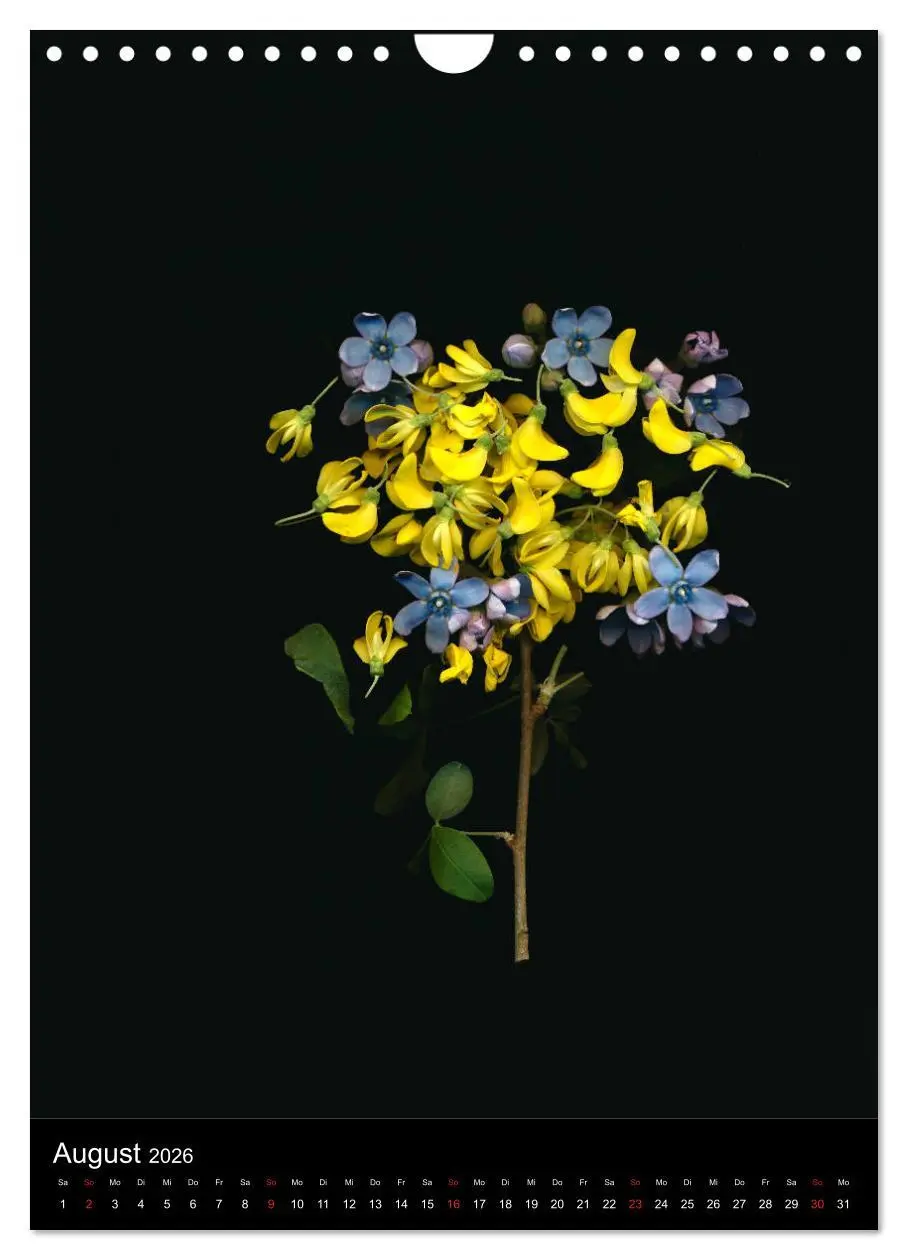 Bild: 9783516373134 | Blumen bei Nacht (Wandkalender 2026 DIN A4 hoch), CALVENDO...