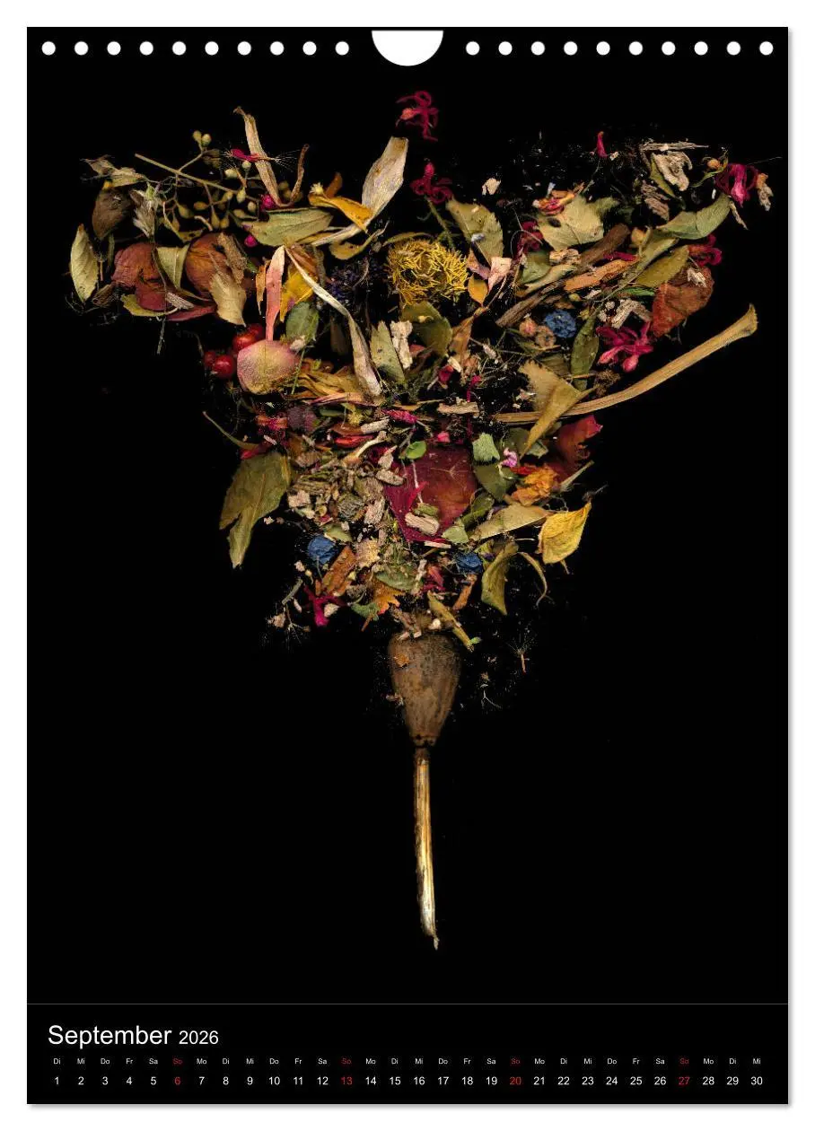 Bild: 9783516373134 | Blumen bei Nacht (Wandkalender 2026 DIN A4 hoch), CALVENDO...