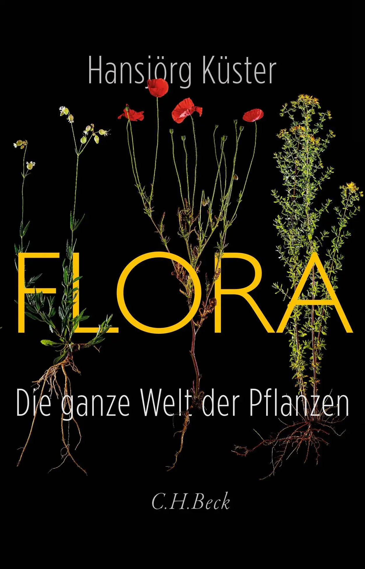 Cover: 9783406783234 | Flora | Die ganze Welt der Pflanzen | Hansjörg Küster | Buch | 224 S.