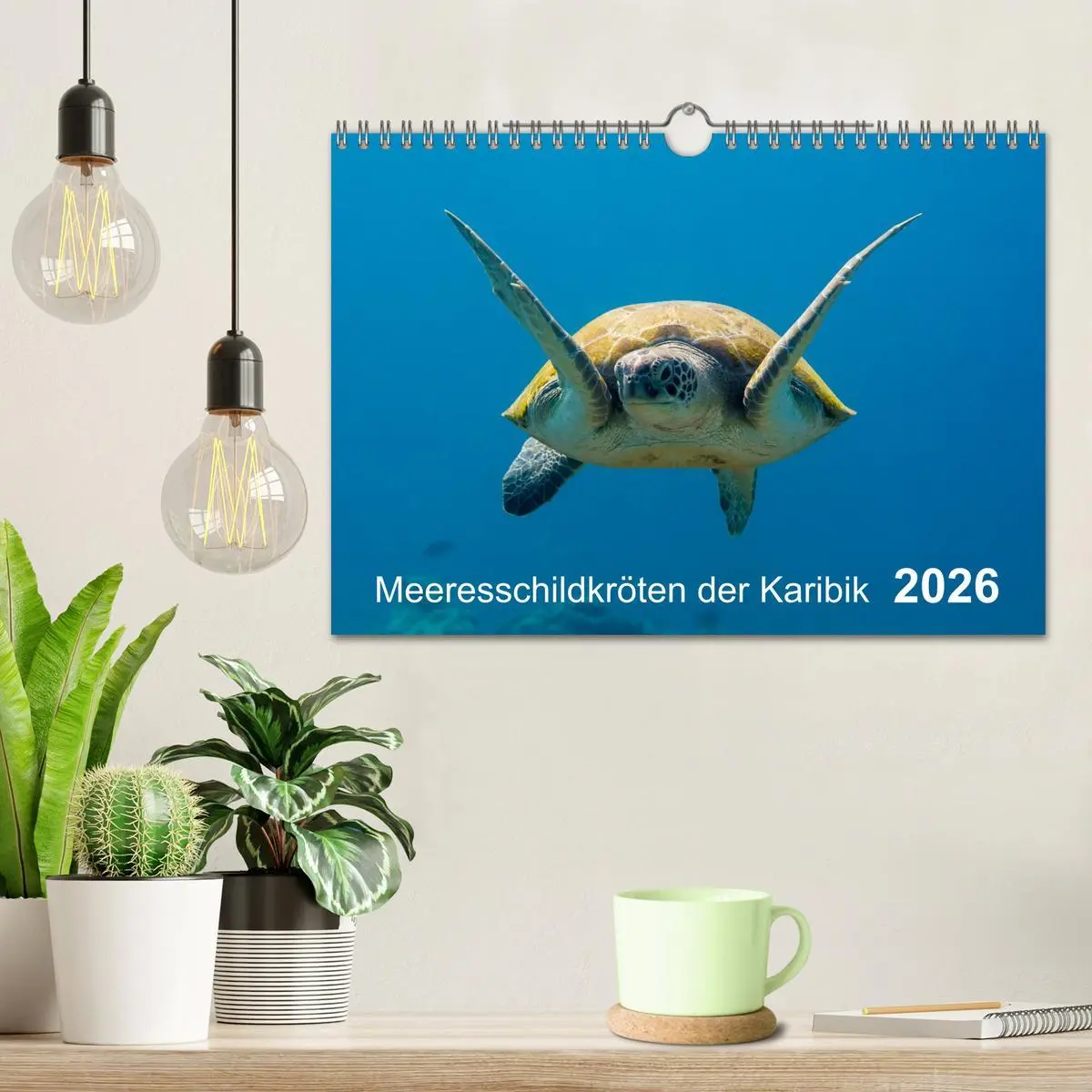 Bild: 9783457893234 | Meeresschildkröten der Karibik (Wandkalender 2026 DIN A4 quer),...