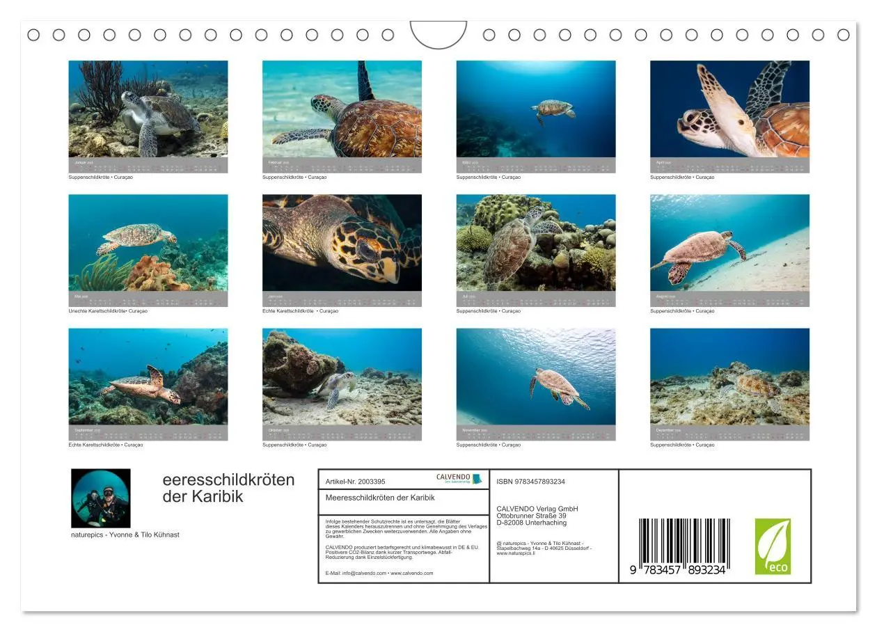Bild: 9783457893234 | Meeresschildkröten der Karibik (Wandkalender 2026 DIN A4 quer),...