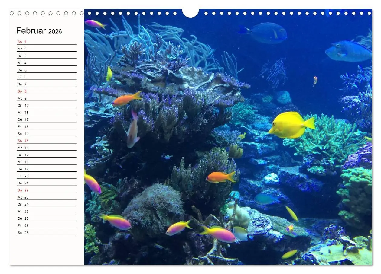 Bild: 9783457963234 | Paradiese. Karibik und Südsee über und unter Wasser (Wandkalender...