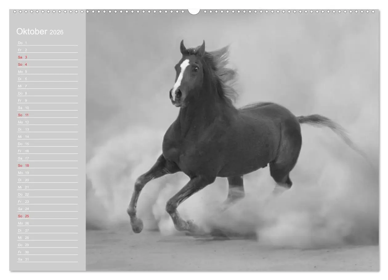 Bild: 9783516123234 | Arabische Pferde (hochwertiger Premium Wandkalender 2026 DIN A2...