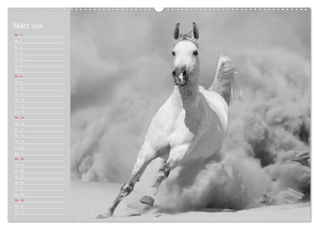 Bild: 9783516123234 | Arabische Pferde (hochwertiger Premium Wandkalender 2026 DIN A2...