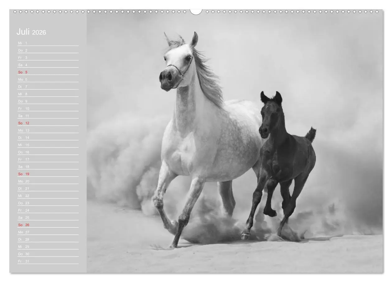 Bild: 9783516123234 | Arabische Pferde (hochwertiger Premium Wandkalender 2026 DIN A2...