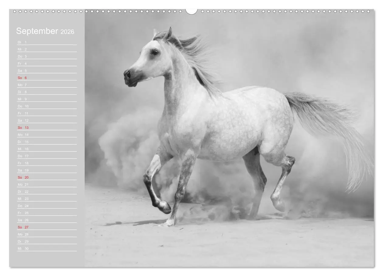 Bild: 9783516123234 | Arabische Pferde (hochwertiger Premium Wandkalender 2026 DIN A2...