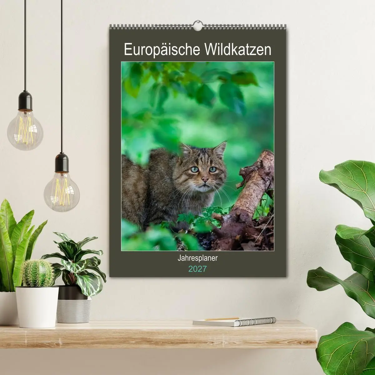 Bild: 9783569763234 | Europäische Wildkatzen - Jahresplaner (Wandkalender 2027 DIN A2...