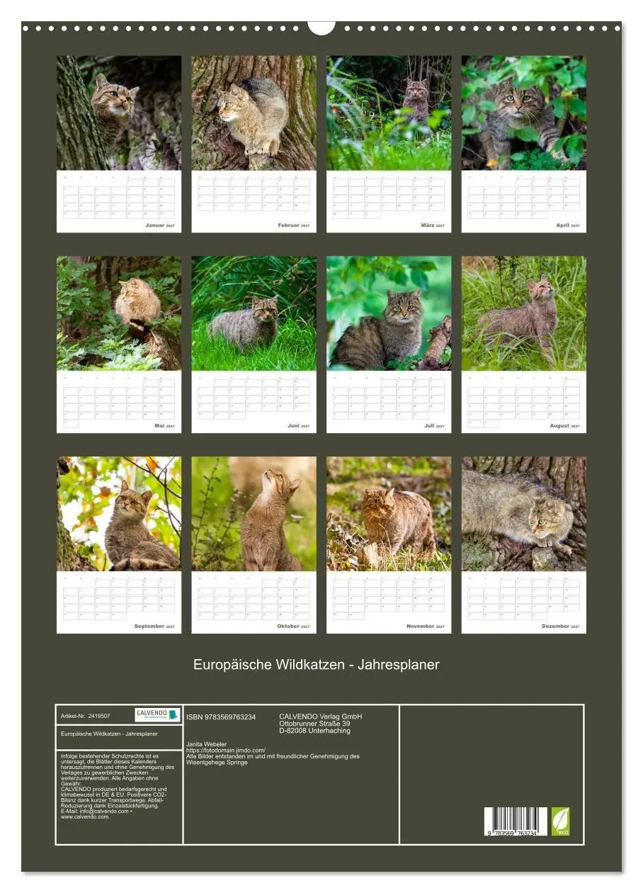 Bild: 9783569763234 | Europäische Wildkatzen - Jahresplaner (Wandkalender 2027 DIN A2...