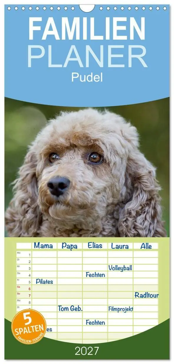 Cover: 9783594343234 | Familienplaner 2027 - Pudel mit 5 Spalten (Wandkalender, 21 x 45...