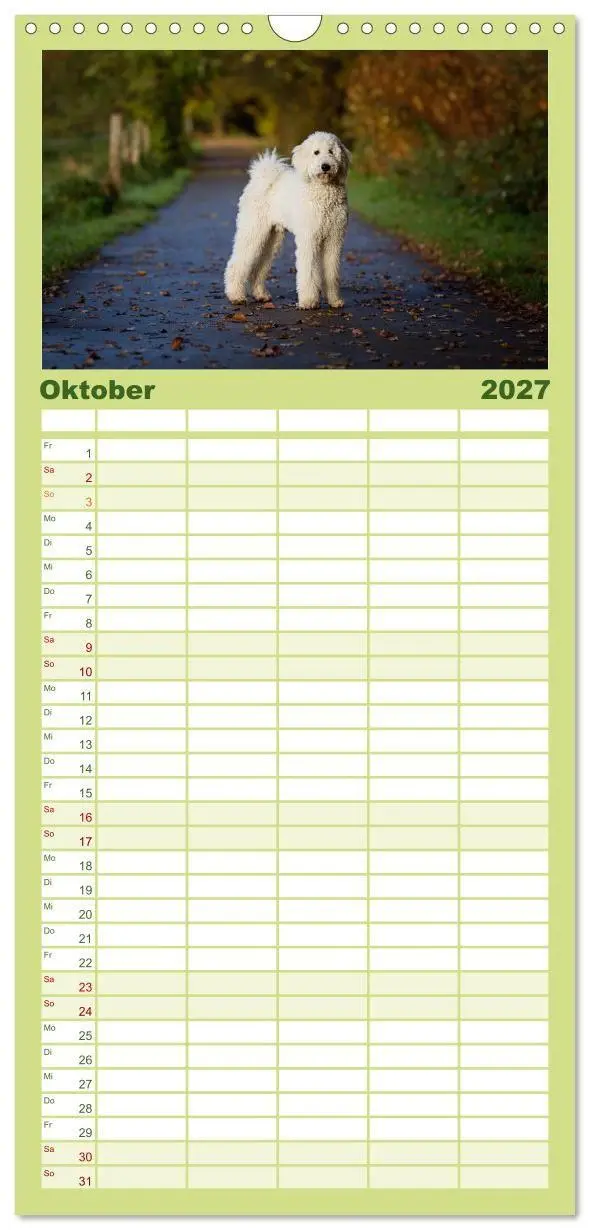 Bild: 9783594343234 | Familienplaner 2027 - Pudel mit 5 Spalten (Wandkalender, 21 x 45...