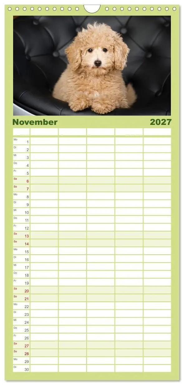 Bild: 9783594343234 | Familienplaner 2027 - Pudel mit 5 Spalten (Wandkalender, 21 x 45...