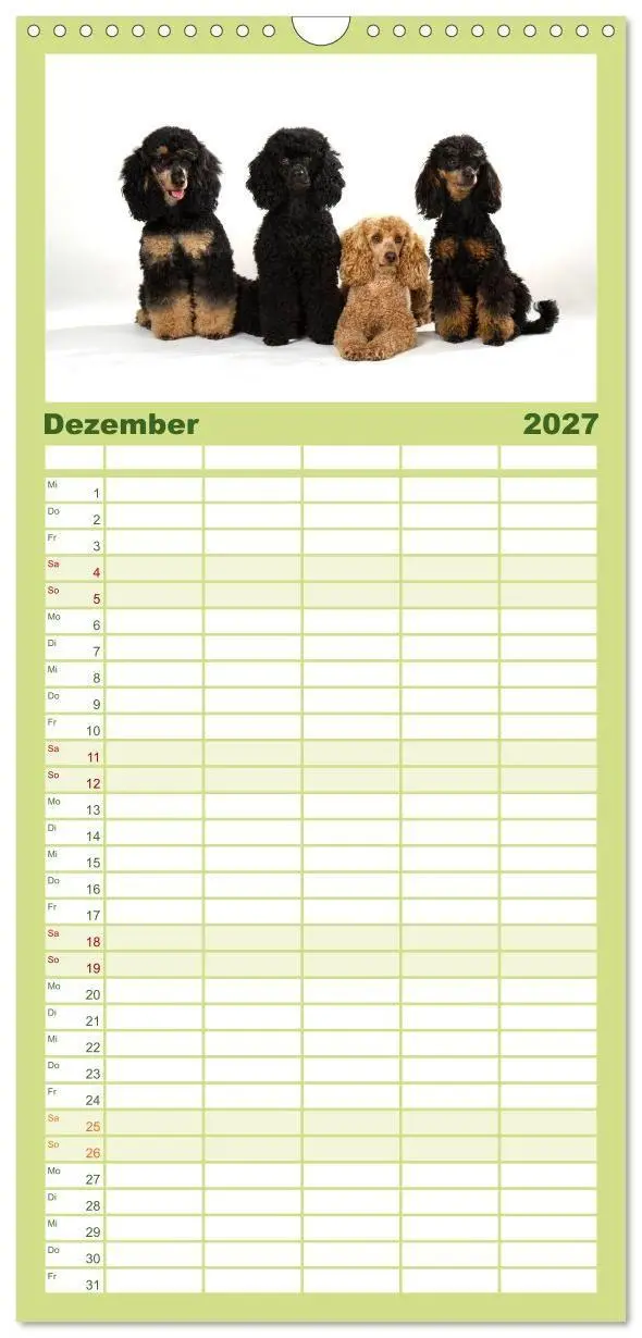 Bild: 9783594343234 | Familienplaner 2027 - Pudel mit 5 Spalten (Wandkalender, 21 x 45...