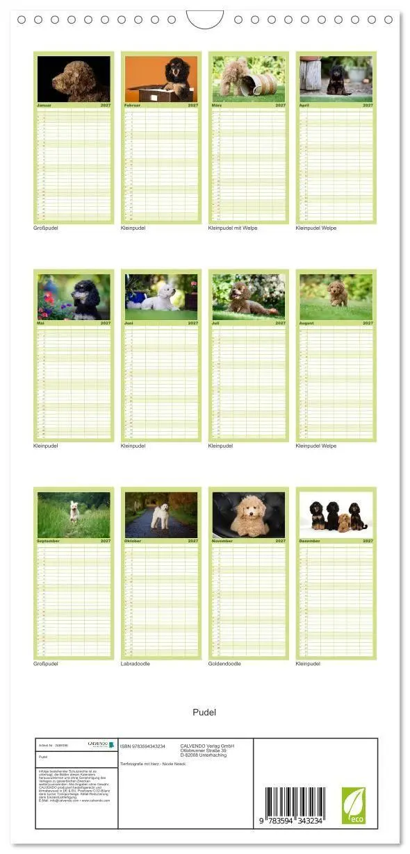 Bild: 9783594343234 | Familienplaner 2027 - Pudel mit 5 Spalten (Wandkalender, 21 x 45...