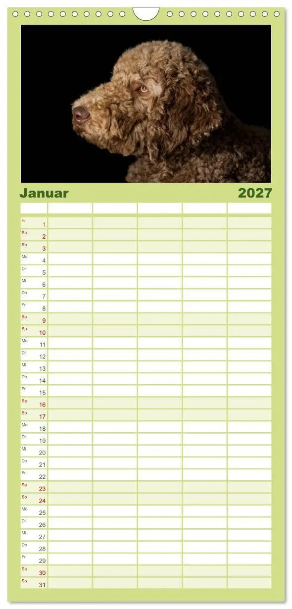 Bild: 9783594343234 | Familienplaner 2027 - Pudel mit 5 Spalten (Wandkalender, 21 x 45...
