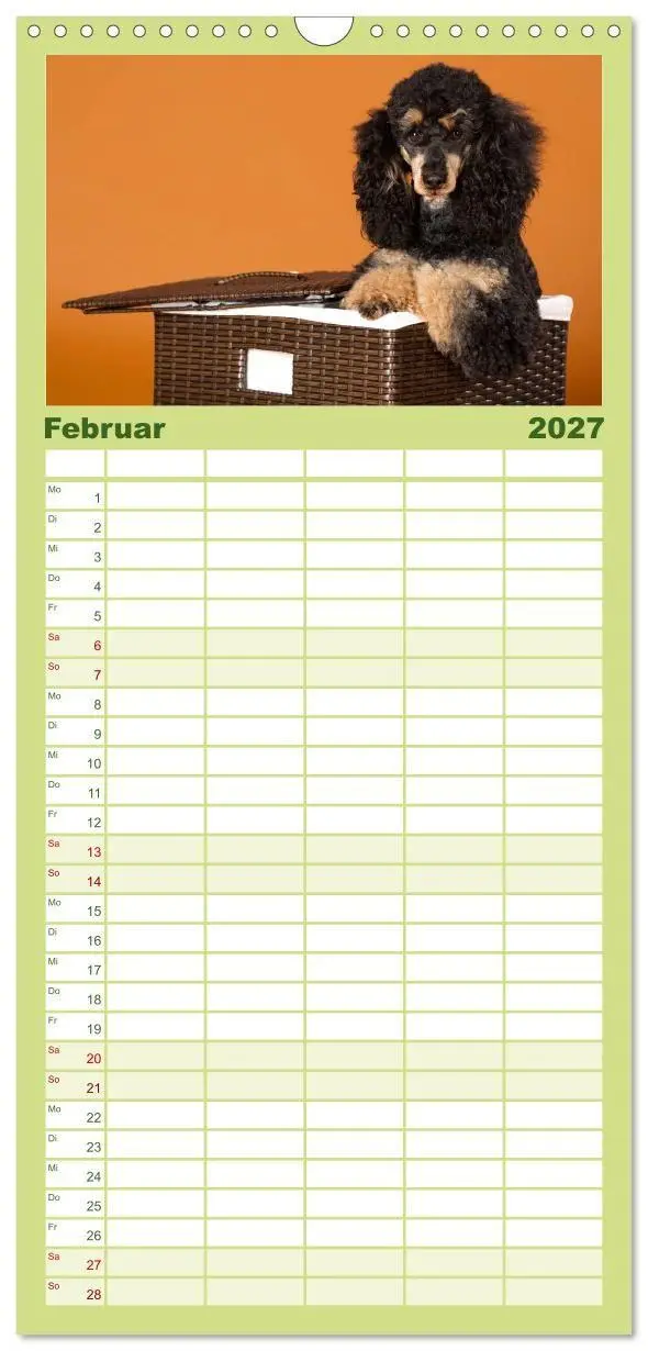 Bild: 9783594343234 | Familienplaner 2027 - Pudel mit 5 Spalten (Wandkalender, 21 x 45...