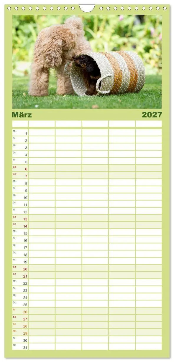 Bild: 9783594343234 | Familienplaner 2027 - Pudel mit 5 Spalten (Wandkalender, 21 x 45...