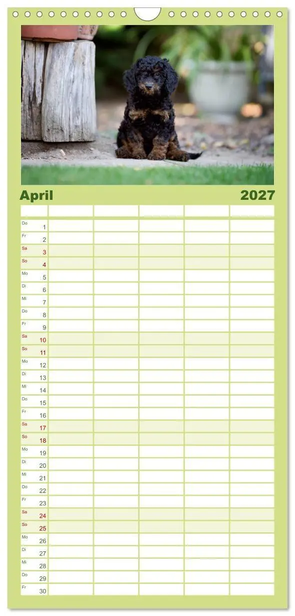 Bild: 9783594343234 | Familienplaner 2027 - Pudel mit 5 Spalten (Wandkalender, 21 x 45...