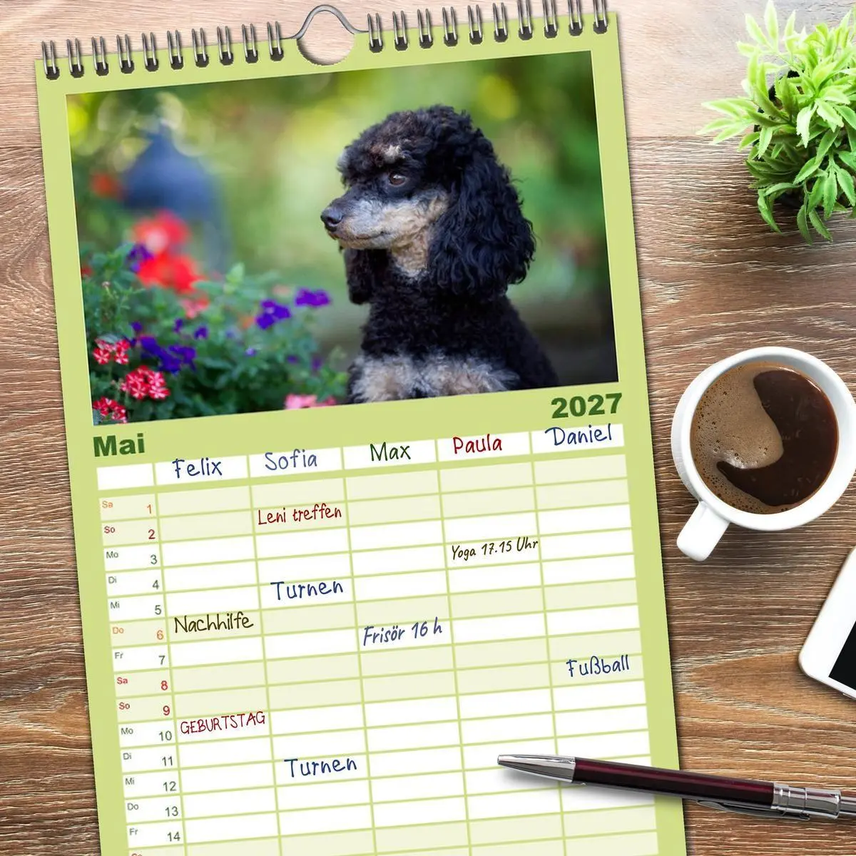 Bild: 9783594343234 | Familienplaner 2027 - Pudel mit 5 Spalten (Wandkalender, 21 x 45...